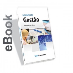 Ebook - Dicionário de Gestão
